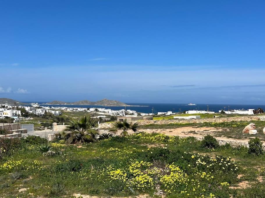 Aretousa Residence In Naoussa, Paros 외부 사진